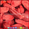 High export rate goji goji berries dried goji berry with in free samples